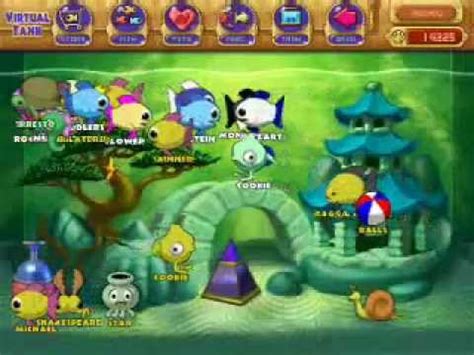 free online insaniquarium no installing.